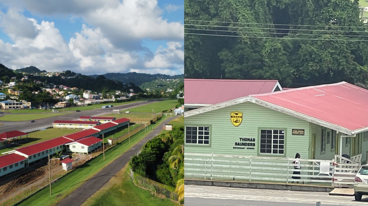 GHS and Thomas Saunders Sec close early due to ‘flea infestation’ – One ...