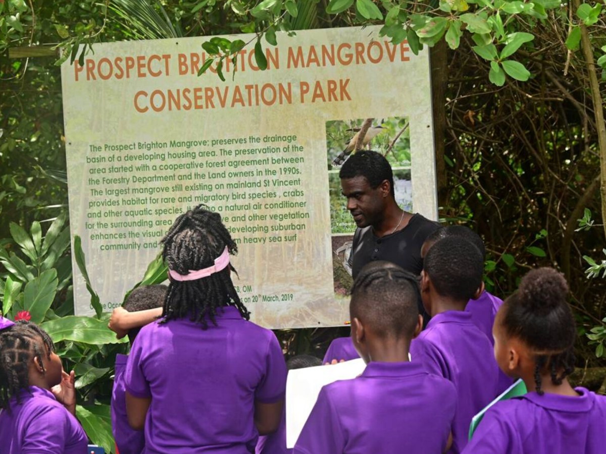 Students Explore Mangroves on the Nature Trail Led by Sandals&nbsp;Foundation