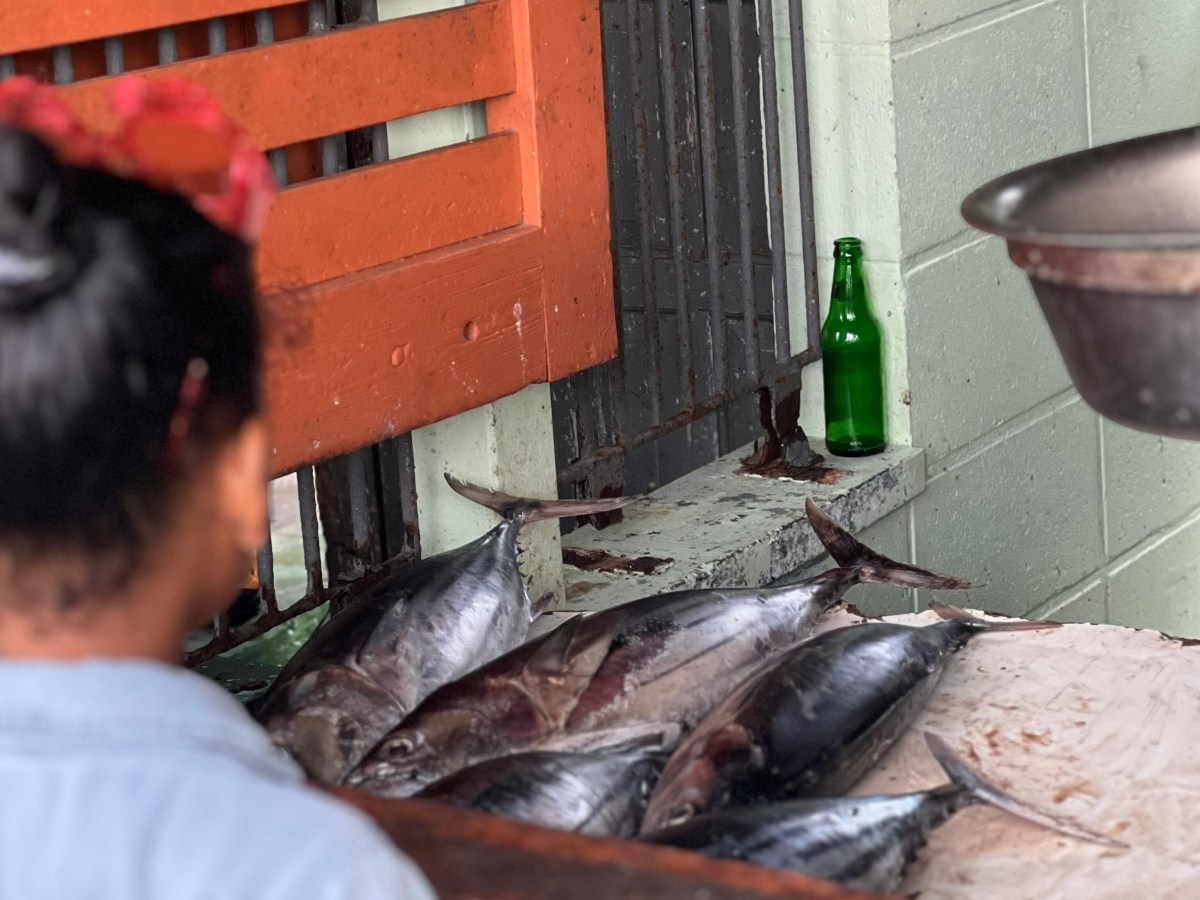 Fisherman’s Day 2026 Activities Kick Off with Fish Exhibition Today (April&nbsp;24)