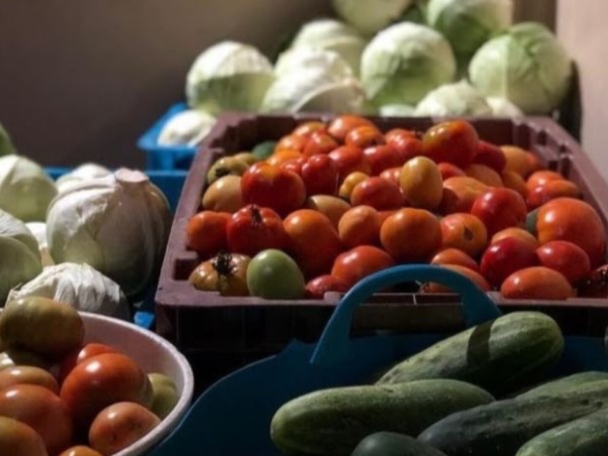 Opinion: Rethinking Food Security in&nbsp;SVG